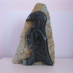 Puffin in Profile