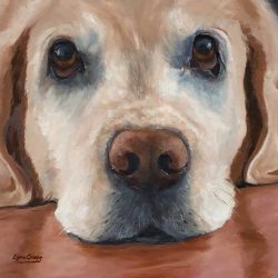 Lynn Cragg