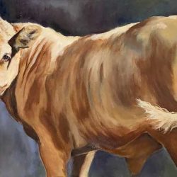 Lynn Cragg