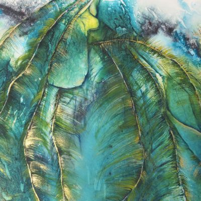 Judy Jackett